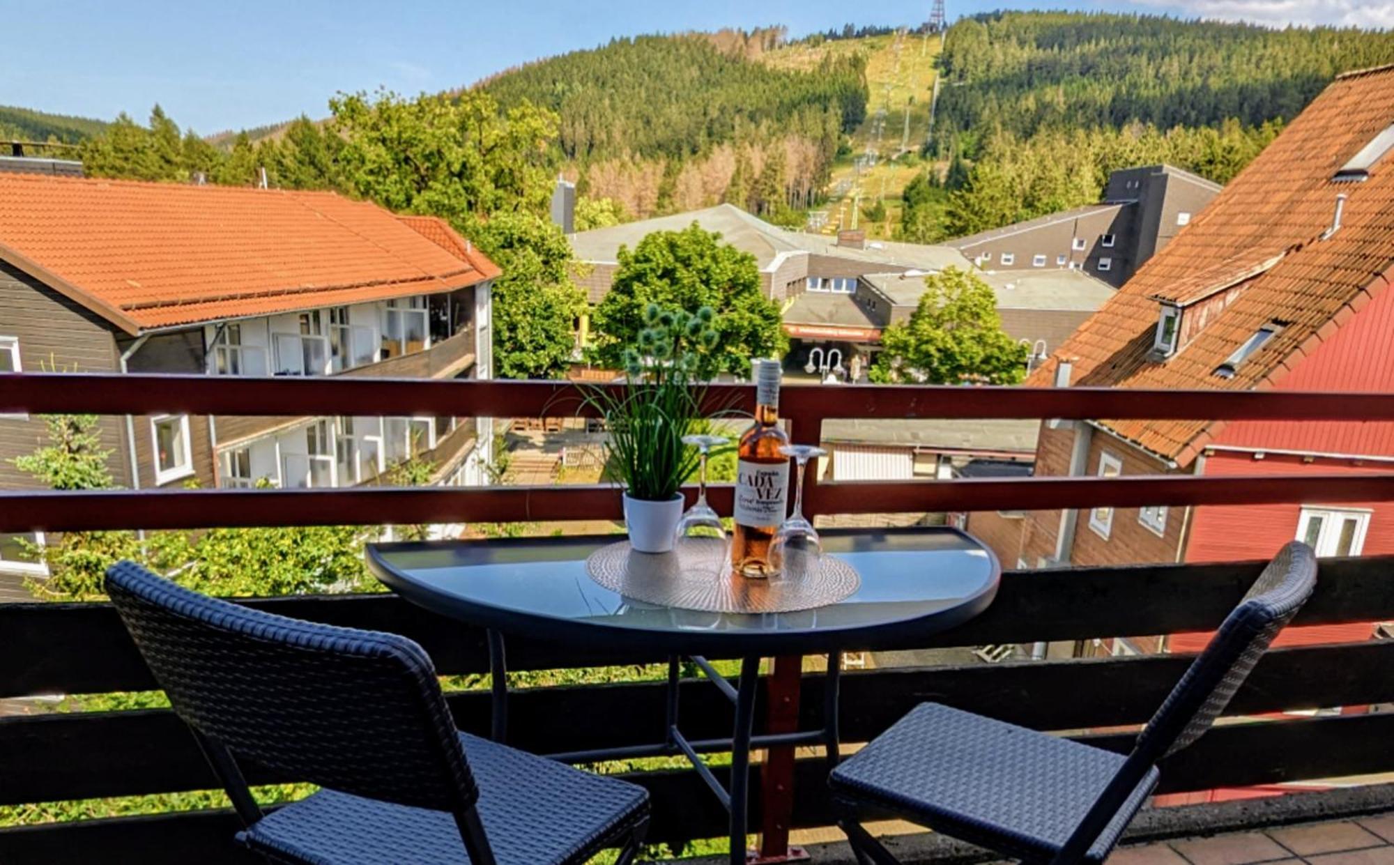 Chill Out Apartment Bergblick Goslar Kültér fotó
